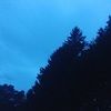 lilyanna3106